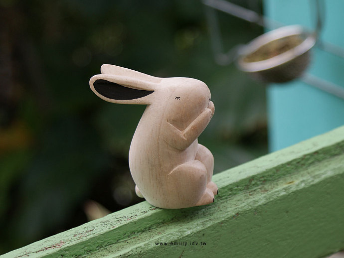 呆萌可爱小动物解密,可爱小动物变食物