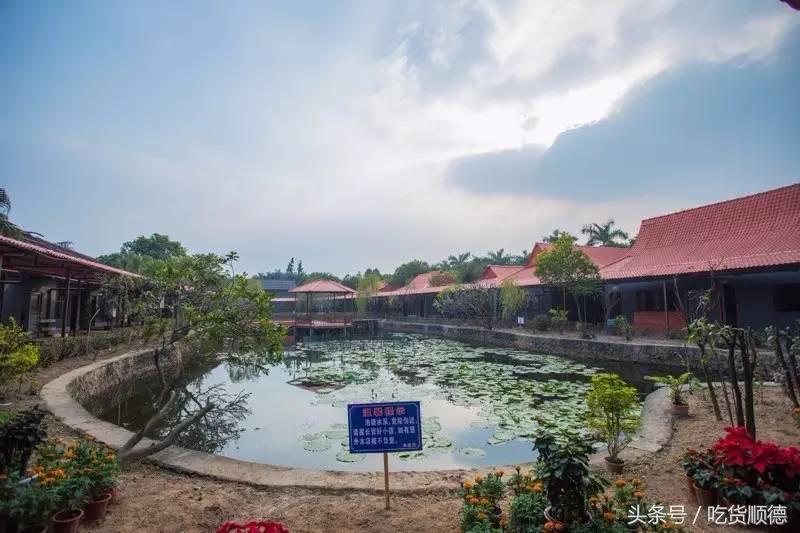陪伴均安人十几年酒楼全面升级，全新创意茶点，大良都要过去饮茶