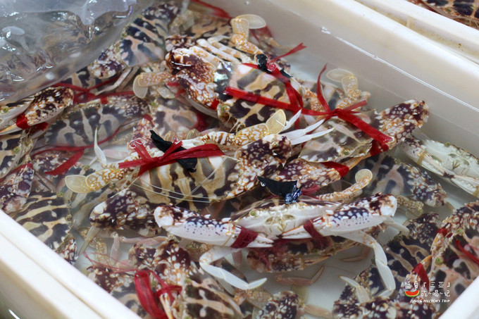 三亚樱花蟹,红花蟹和乐蟹