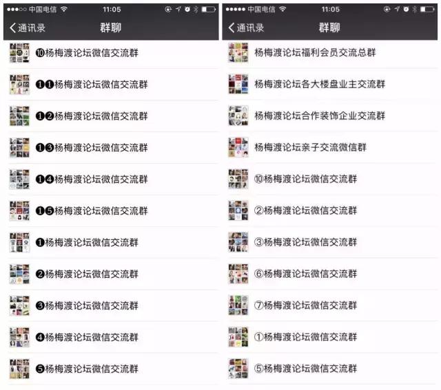 米猪杨梅渡论坛,杨梅渡论坛创始人米猪