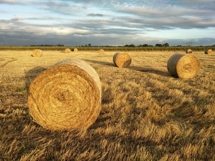 oppor9s拍照怎么样好吗,oppor9s怎么拍照才好看