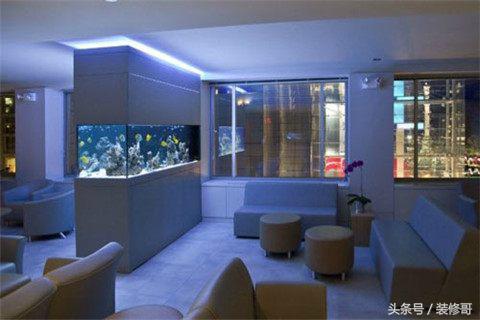 鱼缸禁忌摆放位置图,鱼缸的摆放位置禁忌要注意什么