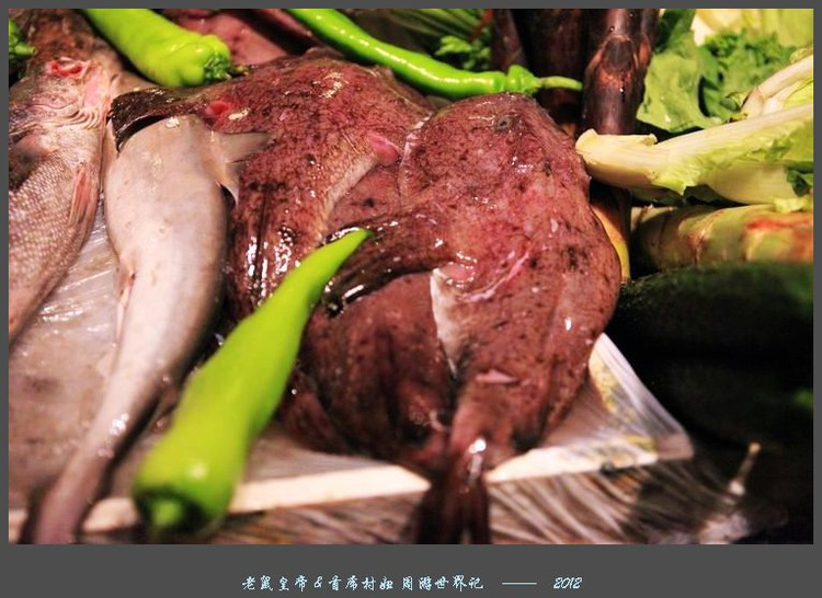 海鲜大排档视频实拍,全国最便宜的海鲜大排档在哪里