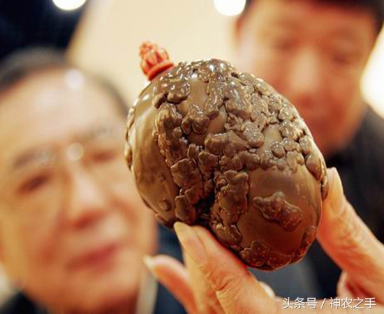 农村这几样东西价值五十万,明年农民家这四样东西很值钱