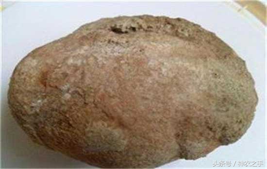 农村这几样东西价值五十万,明年农民家这四样东西很值钱