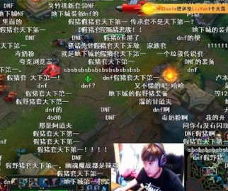 假猪套和真猪套的属性对比,假猪套是什么版本