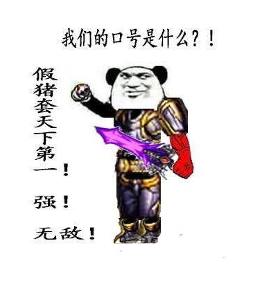 假猪套和真猪套的属性对比,假猪套是什么版本