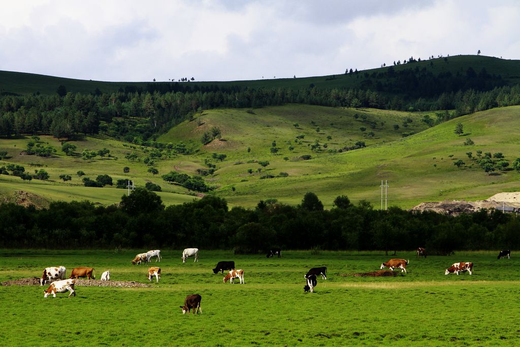 为何古暮居然挖出牛肉汤？三分钟让你明白古人都吃什么肉