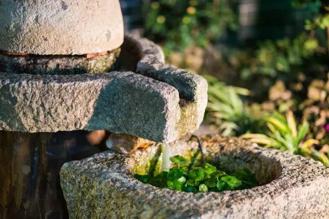 澶氳倝妞嶇墿椁愬惂,妤奸《澶氳倝鑺卞洯椁愬巺