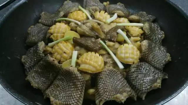 澶氳倝妞嶇墿椁愬惂,妤奸《澶氳倝鑺卞洯椁愬巺