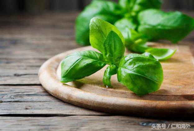 一道营养简单又美味的蔬菜,一种很美味又有营养的蔬菜