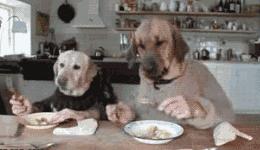 容易做的又好看又好吃的药膳,冬天最适合吃的五道经典药膳