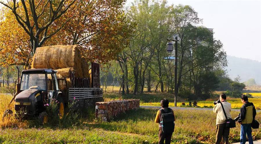 南京风景最美农家乐,南京周边十大最好玩的农家乐