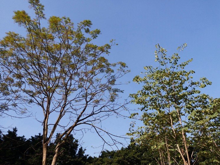 三星c9pro性能测试视频,三星c9pro参数