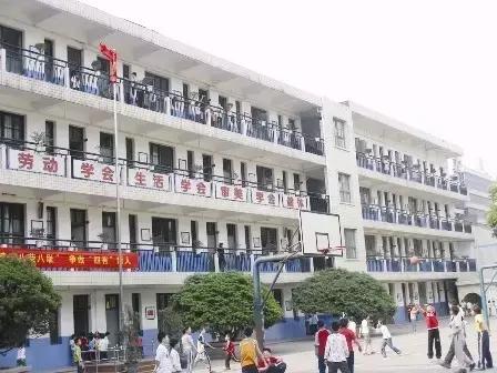 株洲最大的小学有哪几个,株洲最牛的地方