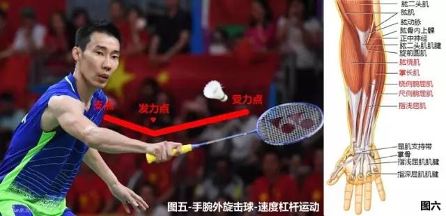 运动365冰王说球手腕发力你懂了吗