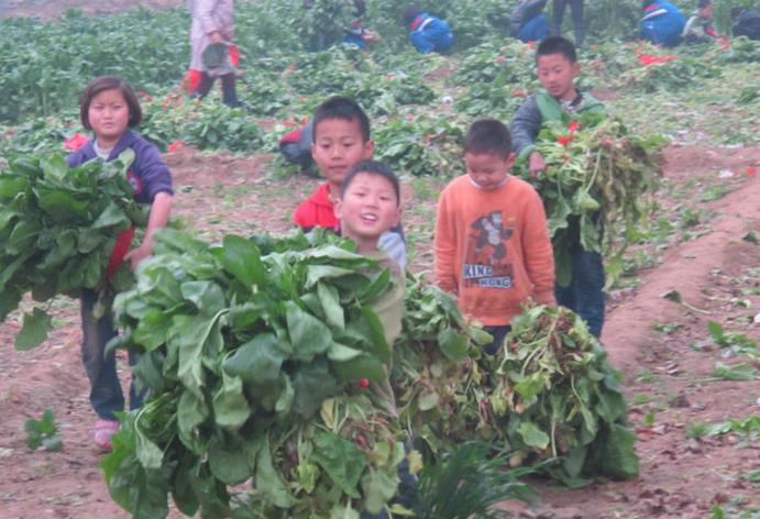 农村奶奶教我的土偏方,农村奶奶讲偏方