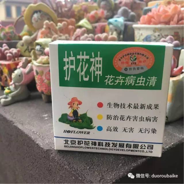 太实用了！图解多肉的配土及用药！