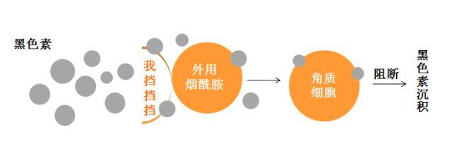 烟酰胺为什么用黑瓶,烟酰胺是什么原因造成的