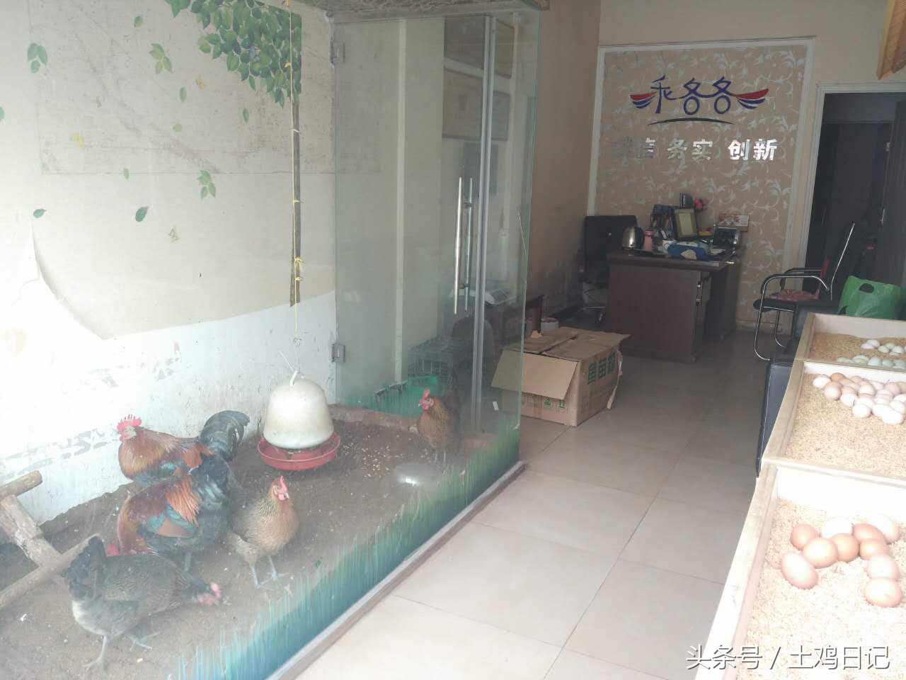 开土鸡专卖店赚钱吗,开土鸡专卖店利润