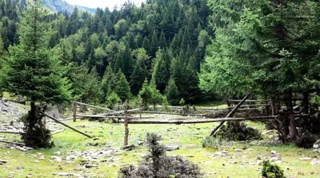 8月四川自驾游3日游最佳路线推荐,四川遂宁到贵州自驾游最佳路线