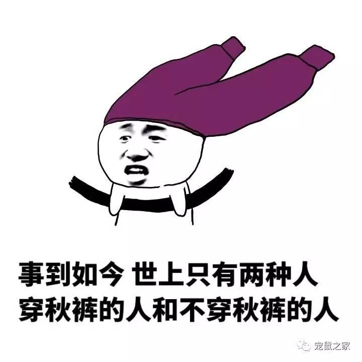 缇庨澶╀笅鍏荤敓澶у笀,缇庨澶╀笅棣欑尓