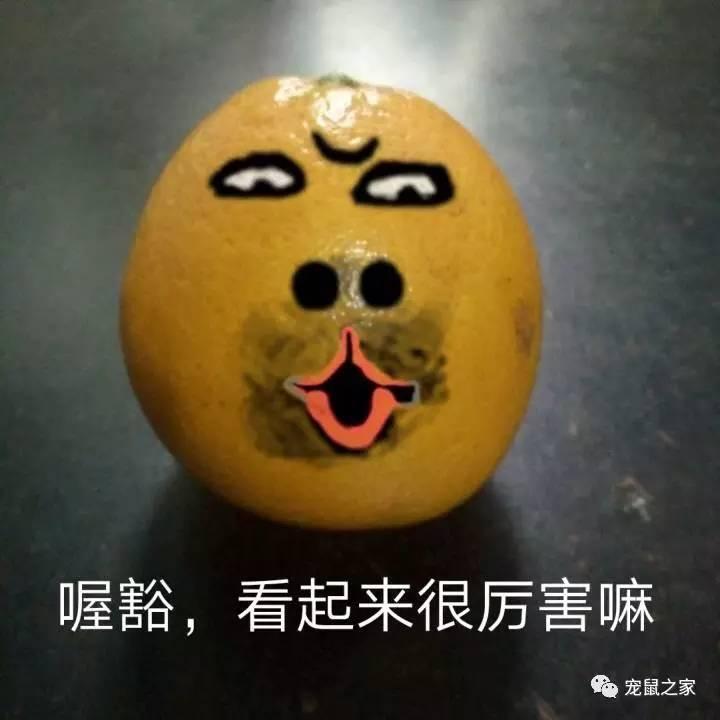 缇庨澶╀笅鍏荤敓澶у笀,缇庨澶╀笅棣欑尓