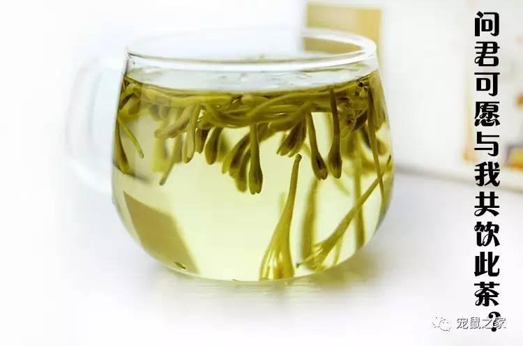 缇庨澶╀笅鍏荤敓澶у笀,缇庨澶╀笅棣欑尓