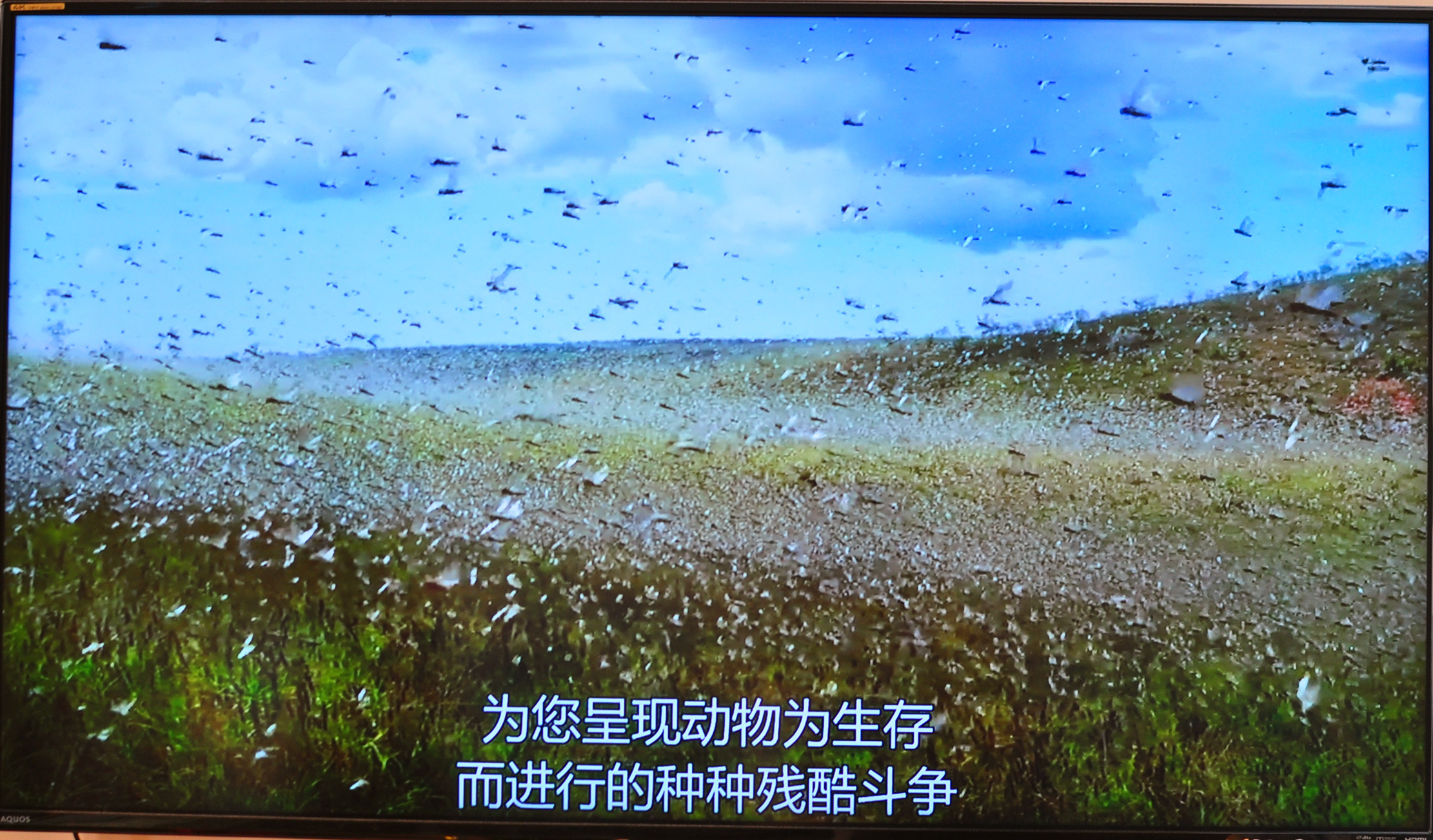 小米3s人工智能盒子,小米盒子3增强版有人工智能吗