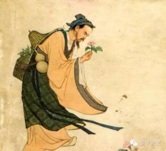 华佗张仲景经历,医圣张仲景神医华佗