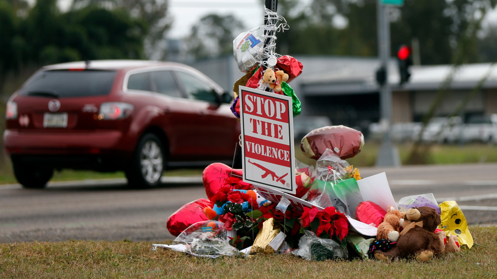 乔埃麦克奈特：第二个牺牲者