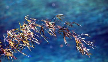 qq亲密留言大全,qq留言板简短关心的话