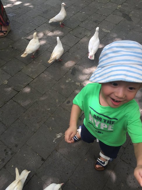 一家三口去三亚,一家三口三亚旅游图片