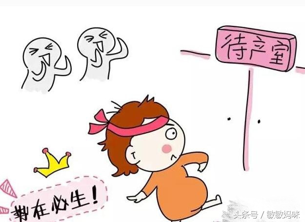 产检数据显示闺女一枚,通过熟人医生四维后确定“带水壶”小子!