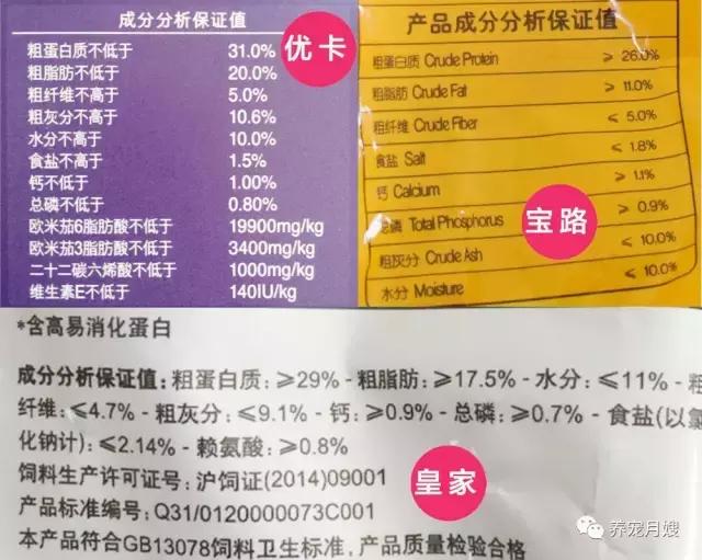 狗粮综合测评分析,狗粮怎么选多款狗粮测评来袭