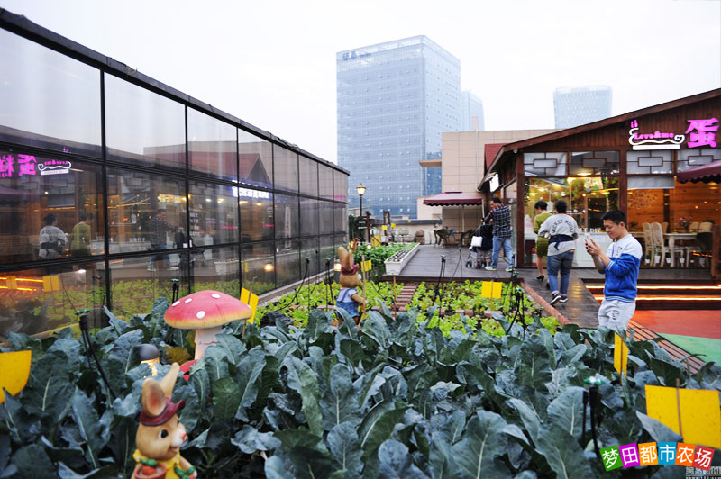 公司年会适合去的地方,公司年会去哪好