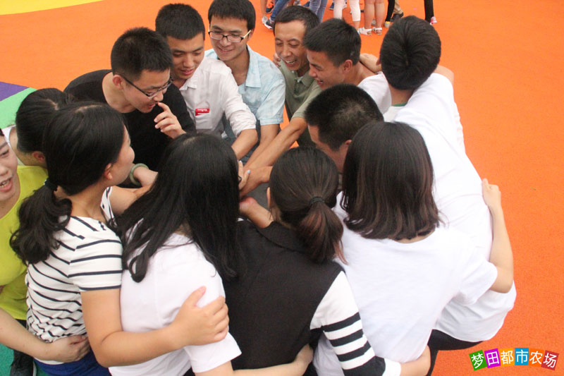 公司年会适合去的地方,公司年会去哪好