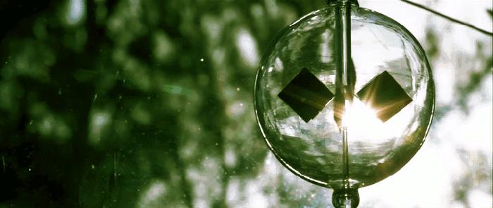 BU专属|到底有没有冬天,真格数据来解读