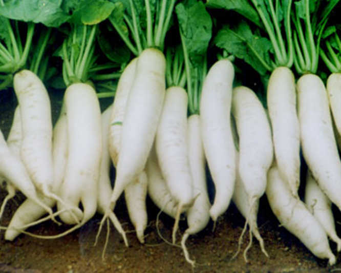 冬天就要多吃点这几种食物,冬天这五种食物每天都要吃