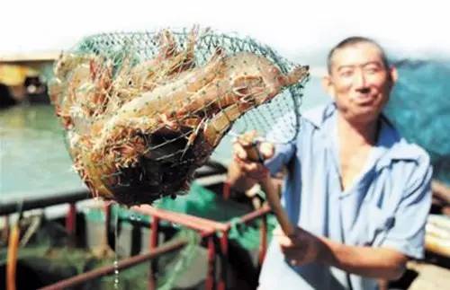 深圳情人岛潜水避坑指南,深圳情人岛自由行攻略