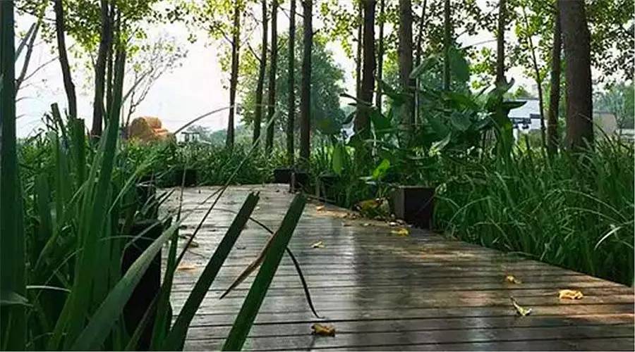 南京风景最美农家乐,南京周边十大最好玩的农家乐