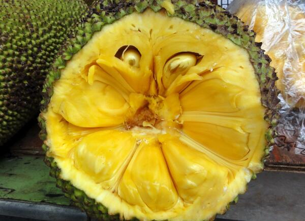 水果皇后菠萝蜜,菠萝蜜为什么叫水果皇后