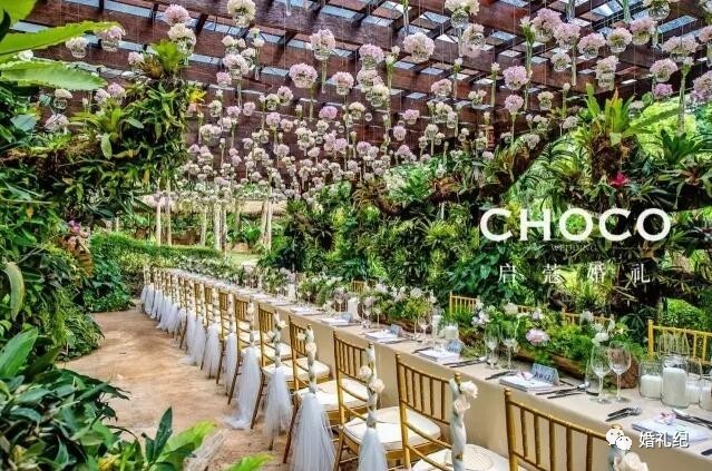 林心如陈妍希同台,陈妍希林心如最新视频