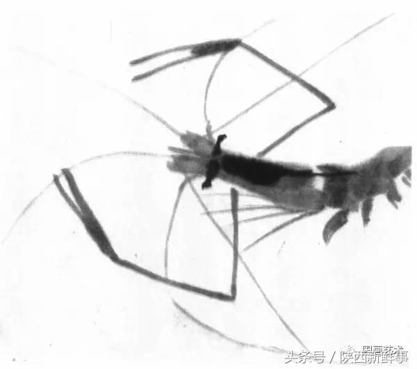 齐白石画虾步骤,齐白石画虾的作品叫什么名字