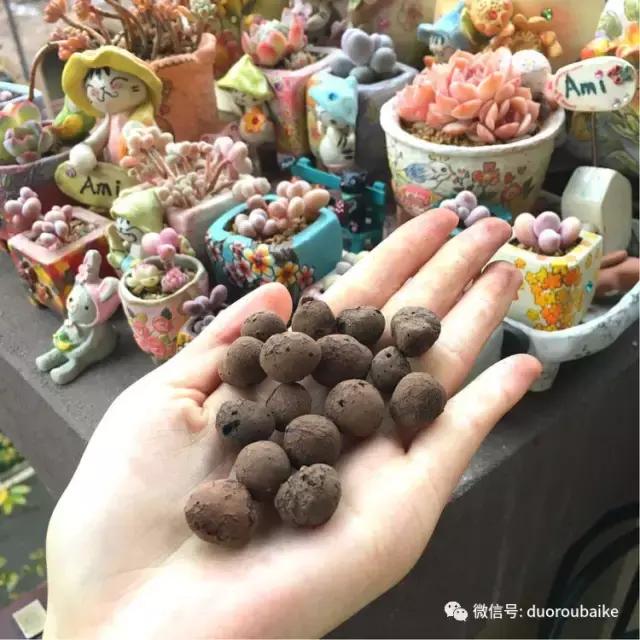 太实用了！图解多肉的配土及用药！
