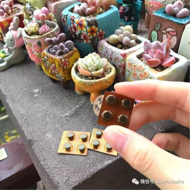 太实用了！图解多肉的配土及用药！