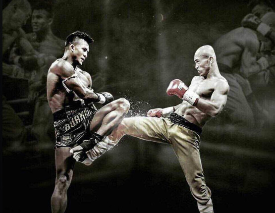 一龙对战五龙,一龙战胜过播求吗