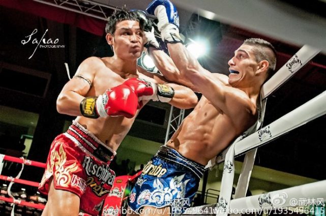 一龙对战五龙,一龙战胜过播求吗