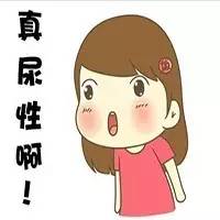 东北话的魅力完整版,东北话的魅力到底有多强