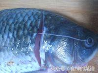 家常红烧鱼块的做法详细,家常红烧鱼块的做法和步骤视频